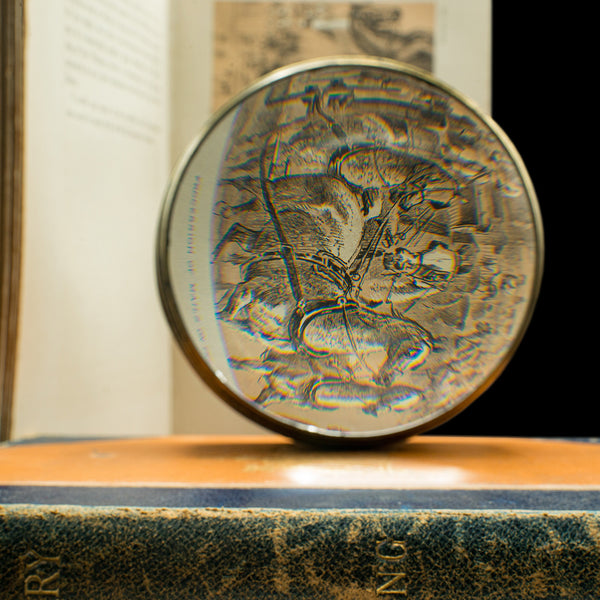 Antique Library Magnifier, English, Brass, Specimen Magnifying Glass, Victorian