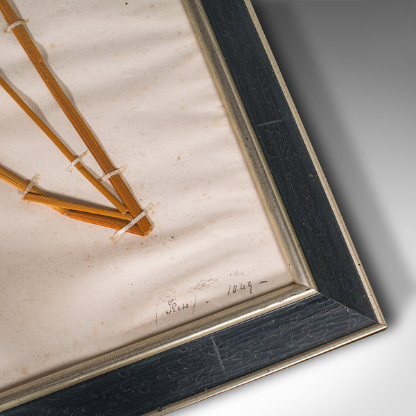 Set Of 6 Antique Botanist's Specimens, English, Framed, Dried Grasses, Victorian