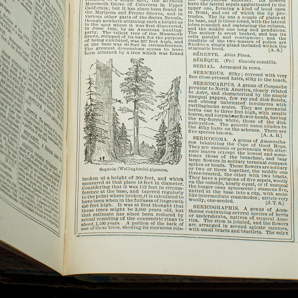 Antique Treasury Of Botany, Vol 1&2, English Language, Reference Book, Victorian