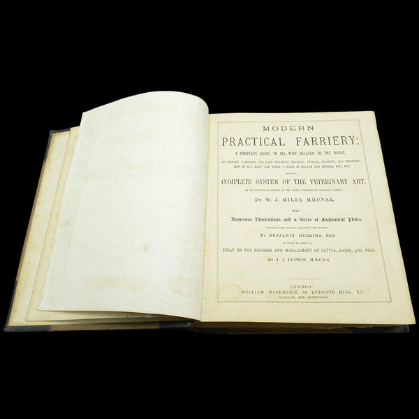 Antique Book Modern Practical Farriery, WJ Miles, English Language, Circa 1900