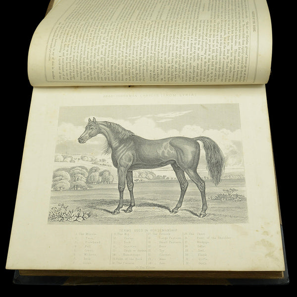 Antique Book Modern Practical Farriery, WJ Miles, English Language, Circa 1900