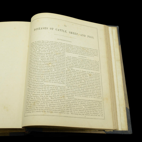 Antique Book Modern Practical Farriery, WJ Miles, English Language, Circa 1900