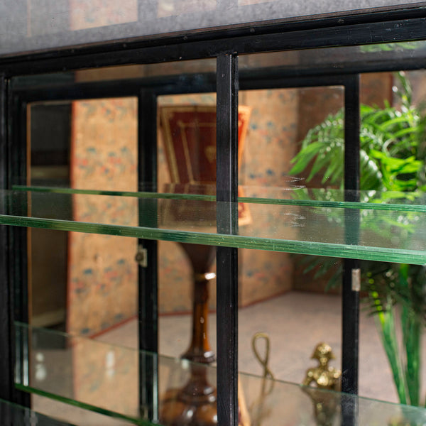 Large Antique Display Cabinet, English, Jeweller's Shop, Retail, Victorian, 1850