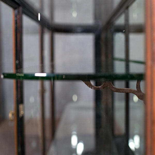 Large Antique Display Cabinet, English, Jeweller's Shop, Retail, Victorian, 1850