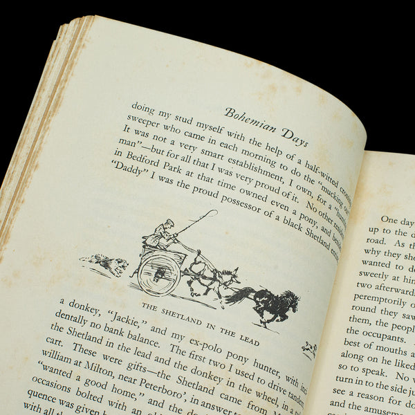 Vintage Book, Time I Was Dead, Autobiography, Cecil Aldin, English Language, Art