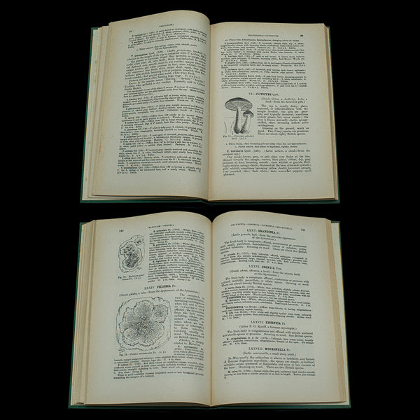 Vintage Books, Fungi Interest, English Language, Biology, Reference, Scientific