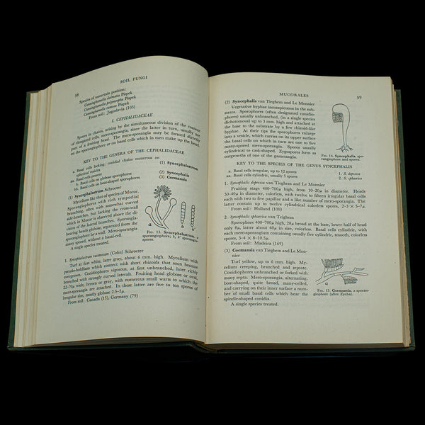 Vintage Books, Fungi Interest, English Language, Biology, Reference, Scientific