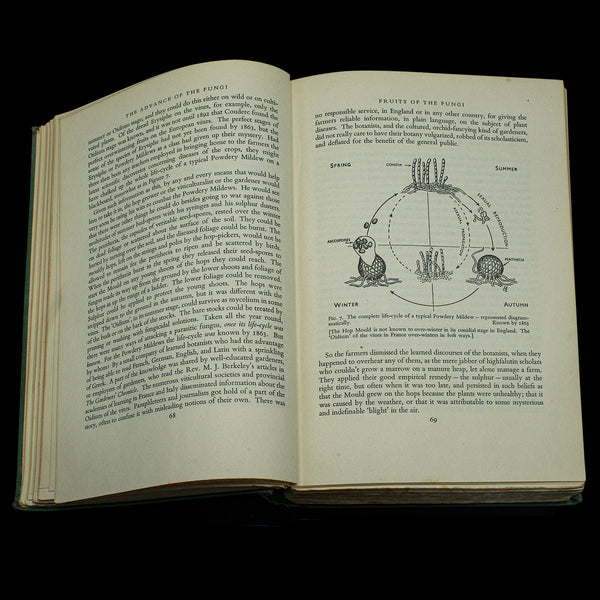 Vintage Books, Fungi Interest, English Language, Biology, Reference, Scientific