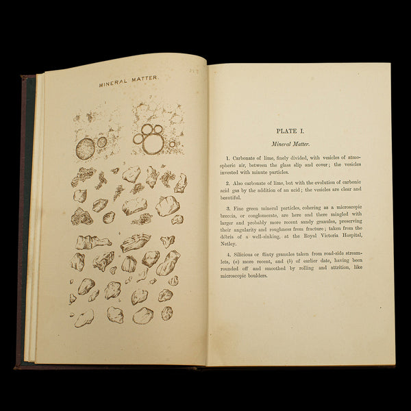 Set of 3 Antique Biology Interest Books, English Scientific Reference, Victorian