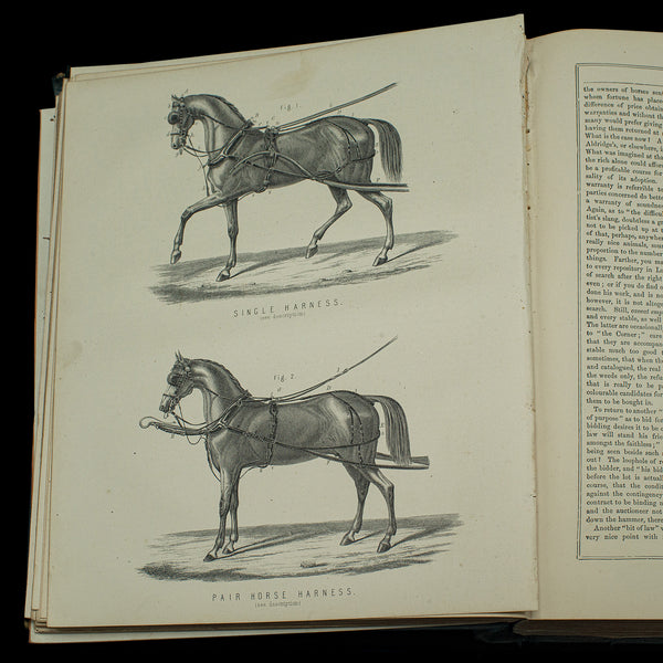 Large Antique Book, Modern Practical Farriery, WJ Miles, English, Circa 1900