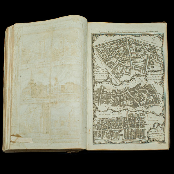 Antique Reference Book, Survey of London, English, Aged, Topographical, Georgian