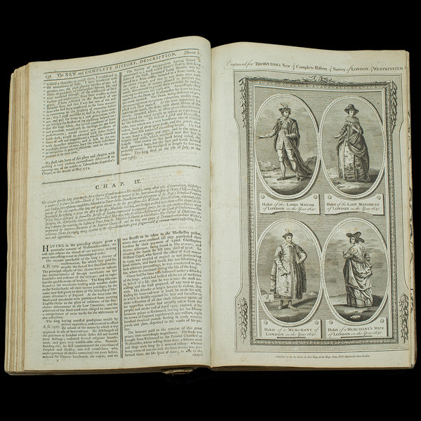 Antique Reference Book, Survey of London, English, Aged, Topographical, Georgian