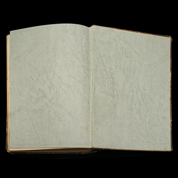 Antique Reference Book, The Greyhound, English, Illustrated Guide, Victorian