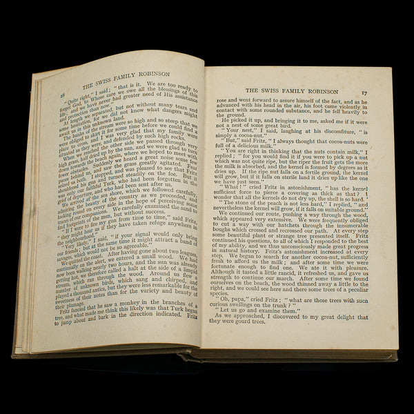 Vintage Book, The Swiss Family Robinson, English, Fiction, Johann Wyss, C.1930