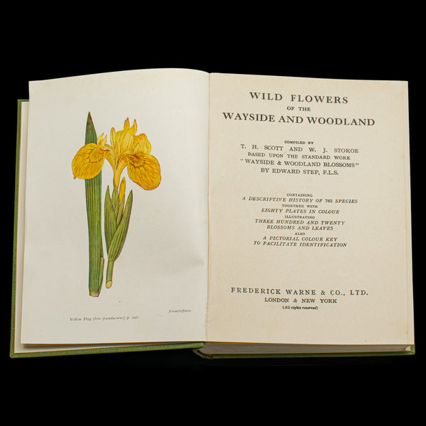 Vintage Reference Book, Wild Flowers of the Wayside, English, Botanical Guide