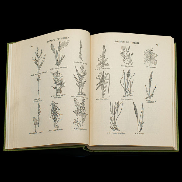 Vintage Reference Book, Wild Flowers of the Wayside, English, Botanical Guide