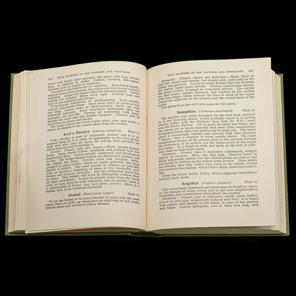 Vintage Reference Book, Wild Flowers of the Wayside, English, Botanical Guide