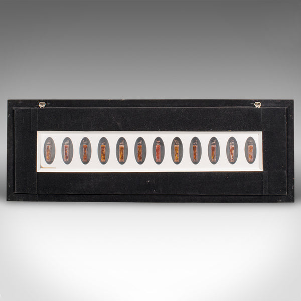 Antique Zodiac Seal Display, Chinese, Soapstone Shengxiao, Oak Frame, Victorian