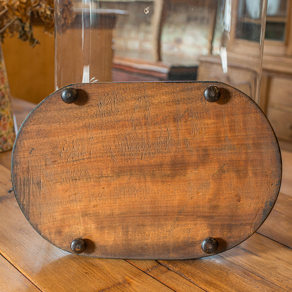 Large Antique Botany Display Dome, English, Glass, Specimen Showcase, Victorian