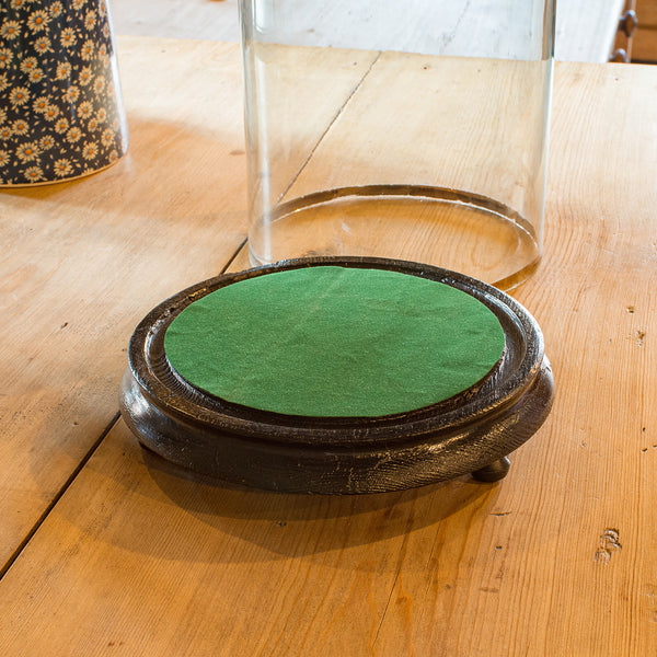 Tall Antique Taxidermy Dome, English, Glass, Pine, Display Case, Victorian, 1880