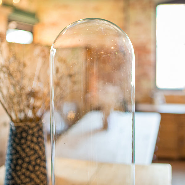 Tall Antique Taxidermy Dome, English, Glass, Pine, Display Case, Victorian, 1880