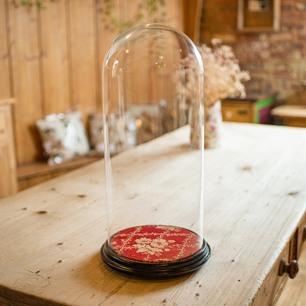 Tall Antique Collector's Dome, English, Glass, Ornament Showcase, Late Victorian