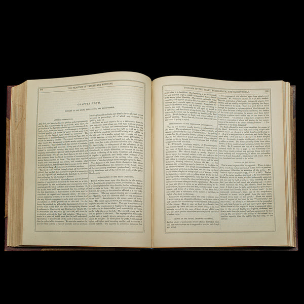 Antique Equestrian Reference Book, Modern Practical Farriery, English, Victorian
