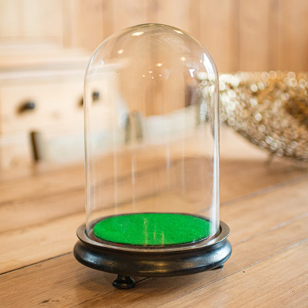 Small Antique Display Dome, English, Taxidermy, Specimen, Showcase, Victorian