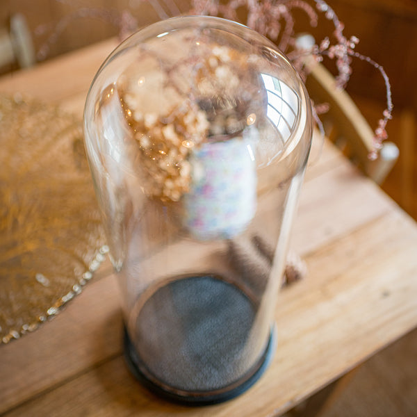 Tall Victorian Antique Specimen Showcase, English Glass, Taxidermy, Display Dome