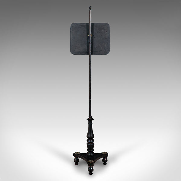 Antique Fireside Pole Screen, English, Height Adjustable, Aesthetic, Victorian