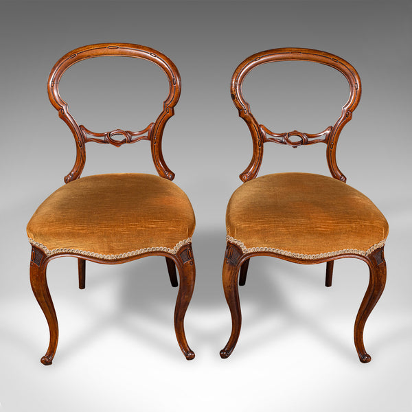 Pair Of Antique Side Chairs, English, Walnut, Buckle Back Seat, Early Victorian