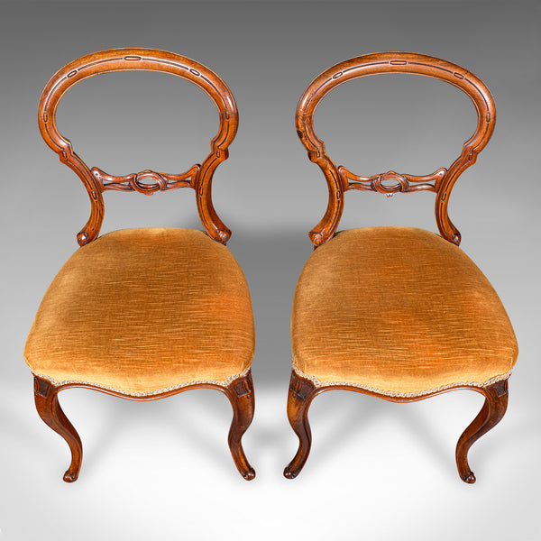 Pair Of Antique Side Chairs, English, Walnut, Buckle Back Seat, Early Victorian
