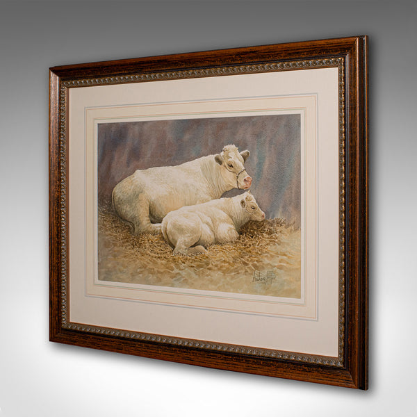 Vintage Livestock Watercolour, English, Art, Animal Painting, Farming, Picture