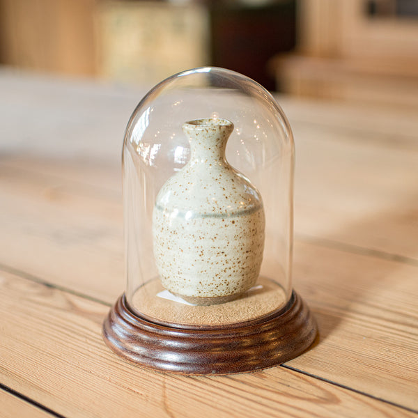 Small Antique Display Dome, English, Glass, Oak, Taxidermy, Showcase, Edwardian