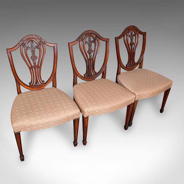 Set of 12 Antique Dining Chairs, English, Carver, Seat, Hepplewhite, Edwardian