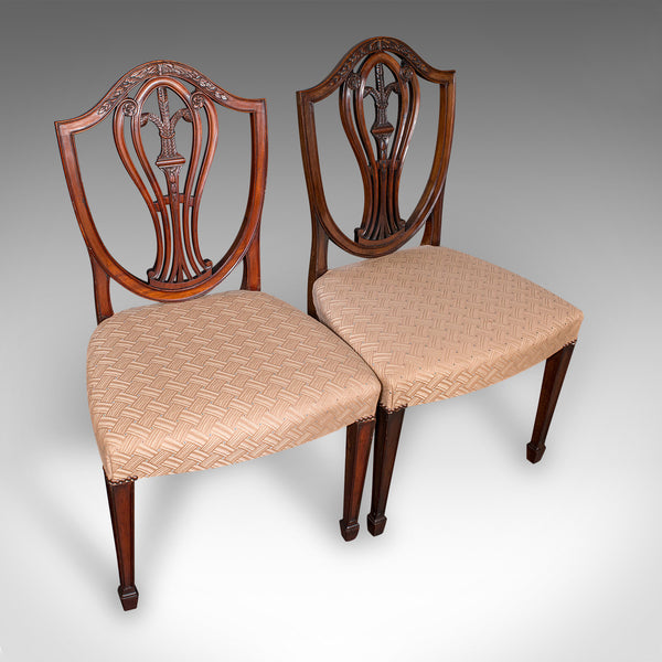 Set of 12 Antique Dining Chairs, English, Carver, Seat, Hepplewhite, Edwardian