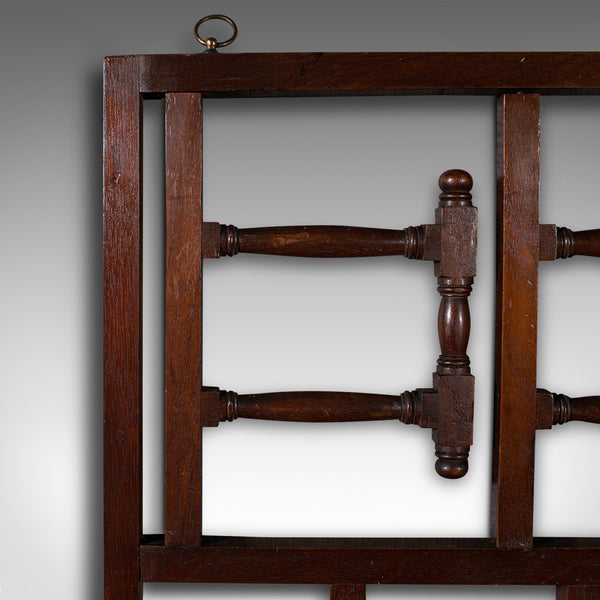 Antique Mounted Coat Rack, English, Folding, Hall, Hanger, Hat, Scarf, Edwardian