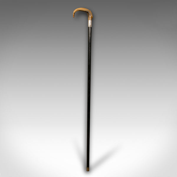 Antique Gentleman's Walking Stick, English, Ebonised, Horn, Victorian, C.1850