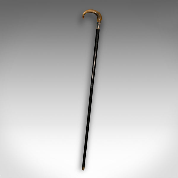 Antique Gentleman's Walking Stick, English, Ebonised, Horn, Victorian, C.1850