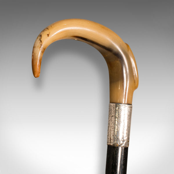 Antique Gentleman's Walking Stick, English, Ebonised, Horn, Victorian, C.1850