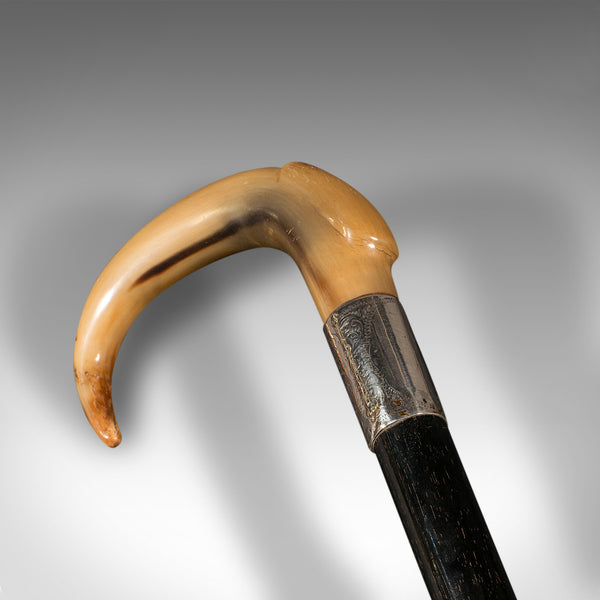 Antique Gentleman's Walking Stick, English, Ebonised, Horn, Victorian, C.1850