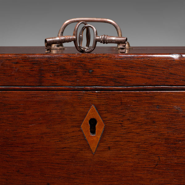 Antique Travelling Jewellery Salesman's Box, English Carry Case, Victorian, 1850