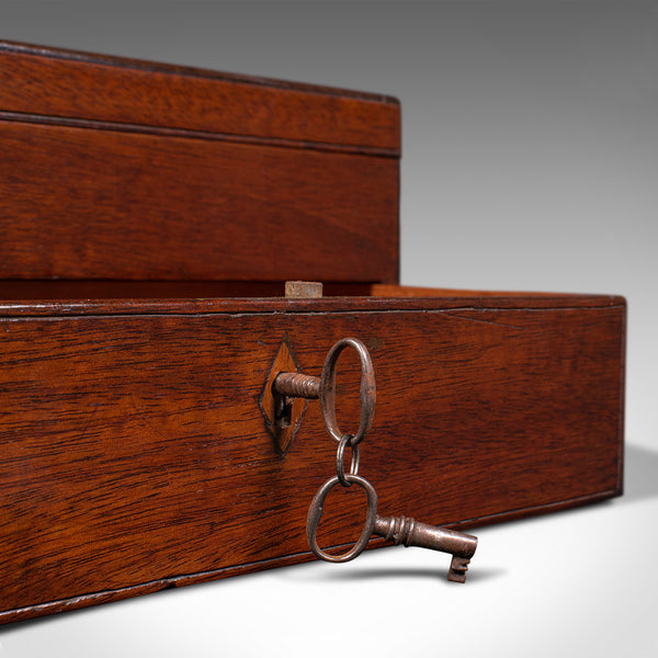 Antique Travelling Jewellery Salesman's Box, English Carry Case, Victorian, 1850