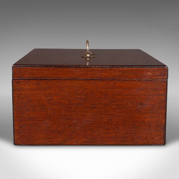 Antique Travelling Jewellery Salesman's Box, English Carry Case, Victorian, 1850