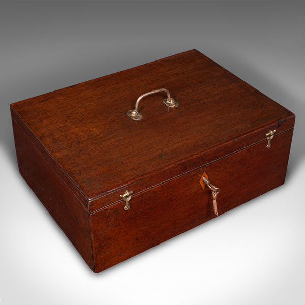 Antique Travelling Jewellery Salesman's Box, English Carry Case, Victorian, 1850
