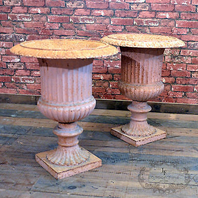 Antique Pair of Cast Iron Garden Urns Large Planters on Plinths, English - London Fine Antiques