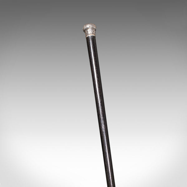 Antique Dandy’s Walking Cane, English, Stick, Ebonised, Victorian, 1889 Hallmark