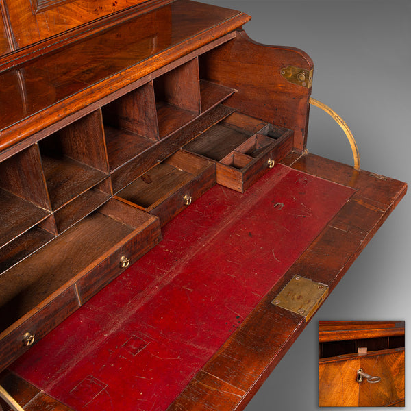 Antique Author's Chest, English, Secretaire Cabinet, Glazed Bookcase, Georgian