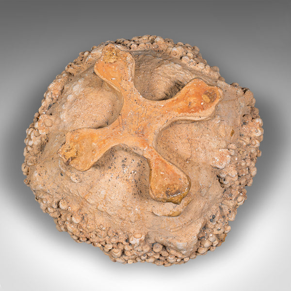 Small Vintage Decorative Planter, Continental, Stone, Garden Jardiniere, C.1950