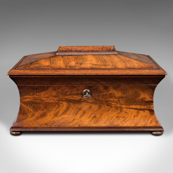 Antique Drawing Room Tea Caddy, English, Flame, Sarcophagus, Regency, Circa 1820